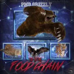 The Gift - Single by P.M.D Grizzly album reviews, ratings, credits