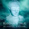 Buddha's True Blissful Nature: Essence of the Mind, Meditation Music, Eastern Wisdom, Achievement of Enlightenment, Buddhism Zen, Chakras Cleansing album lyrics, reviews, download