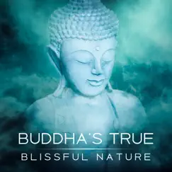 Buddha's True Blissful Nature: Essence of the Mind, Meditation Music, Eastern Wisdom, Achievement of Enlightenment, Buddhism Zen, Chakras Cleansing by Buddhism Academy album reviews, ratings, credits