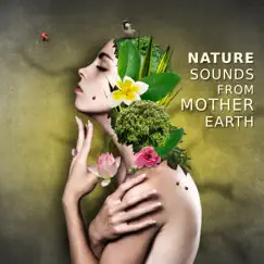 Nature Sounds from Mother Earth: Music for Relaxation, Ambient Serenity, Better Sleep, Theraphy Music for Massage by Serenity Music Academy album reviews, ratings, credits