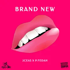 Brand New (feat. P.FEDAH) - Single by 2ceas album reviews, ratings, credits