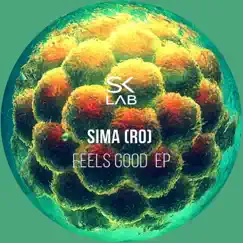 Feels Good - Single by Sima album reviews, ratings, credits