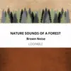 Nature Sounds of a Forest (Brown Noise), Loopable album lyrics, reviews, download