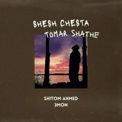Shesh Chesta Tomar Shathe Song Lyrics