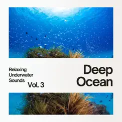 Deep Ocean: Relaxing Underwater Sounds Vol. 3 by Underwater Music and Sounds, Whale Song & Echoes Of Nature album reviews, ratings, credits