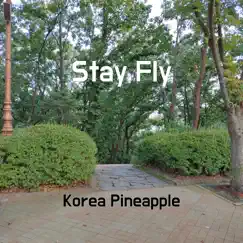 Stay Fly - Single by Korea Pineapple album reviews, ratings, credits