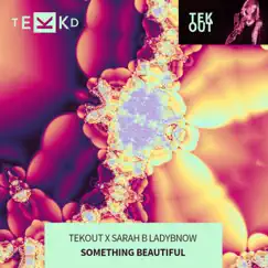 Something Beautiful - Single by Tekout & Sarah B Ladybnow album reviews, ratings, credits