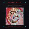 Husan Walo - Single album lyrics, reviews, download