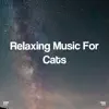 !!!" Relaxing Music for Cats "!!! album lyrics, reviews, download