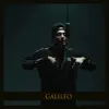 Galileo - Single album lyrics, reviews, download