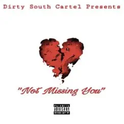 Not Missing You - Single by Teflon album reviews, ratings, credits