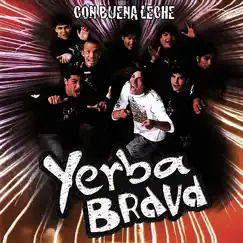 Con Buena Leche by Yerba Brava album reviews, ratings, credits