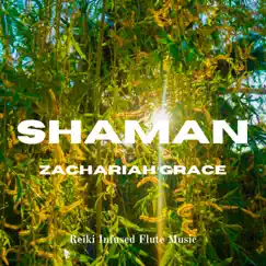 Shaman - Single by Zachariah Grace album reviews, ratings, credits