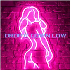Drop It Down Low - Single by Snapback Nate album reviews, ratings, credits