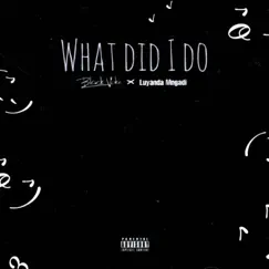 What Did I Do? (feat. Luyanda Mngadi) - Single by Black Voke album reviews, ratings, credits