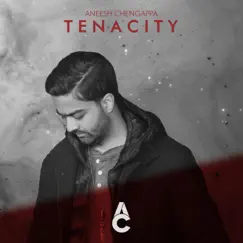 Tenacity - Single by Aneesh Chengappa album reviews, ratings, credits