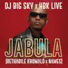 Jabula (feat. NAMES) - Single album lyrics, reviews, download