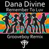 Remember to Luv - Single album lyrics, reviews, download