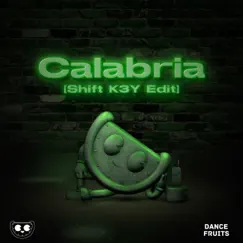 Calabria (feat. Fallen Roses, Lujavo & Lunis) [Shift K3Y Edit] Song Lyrics