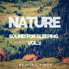 Nature Sounds for Sleeping, Vol. 2 by Healing Vibes album reviews, ratings, credits