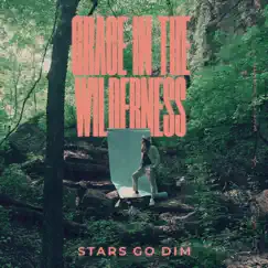 Grace In The Wilderness by Stars Go Dim album reviews, ratings, credits