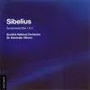 Sibelius: Symphony No. 1 & Symphony No. 4 album lyrics, reviews, download