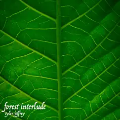 Forest Interlude Song Lyrics