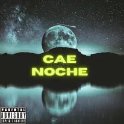 Cae la Noche - Single by Cosmes_Fulanito420 album reviews, ratings, credits