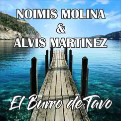 EL BURRO DE TAVO - EP by NOIMIS MOLINA & Alvis Martínez album reviews, ratings, credits