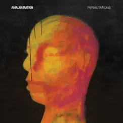 Permutations by The Amalgamation album reviews, ratings, credits