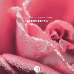 Roses Song Lyrics