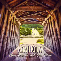 Now I Know (feat. Jens Filser) - Single by Chris Kramer album reviews, ratings, credits