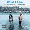 What I Like (feat. G.S the Brand) - Single album lyrics, reviews, download