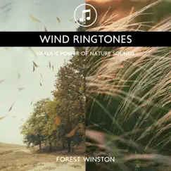Wind Ringtones - Healing Power of Nature Sounds for Sleep and Relaxation, Storm Music by Forest Winston & Mary Woodland album reviews, ratings, credits