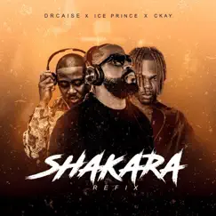 Shakara (feat. Ice Prince & Ckay) - Single by Dr Caise album reviews, ratings, credits