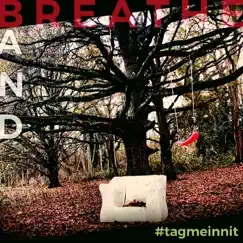 #Tagmeinnit by Breathe Band album reviews, ratings, credits