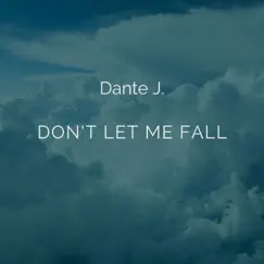 Don't Let Me Fall Song Lyrics