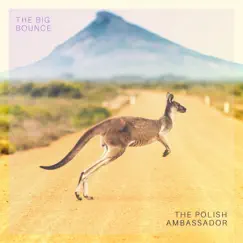 The Big Bounce - Single by The Polish Ambassador, Robin Jackson & Jesse Klein album reviews, ratings, credits