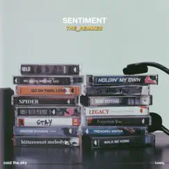 Sentiment (The Remixes) by Said The Sky album reviews, ratings, credits