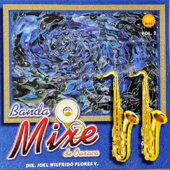 Banda Mixe de Oaxaca, Vol. 2 by Banda Mixe de Oaxaca album reviews, ratings, credits