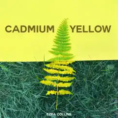 Cadmium Yellow by Ezra Collins album reviews, ratings, credits