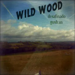 Wild Wood (Live) Song Lyrics