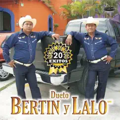 Serie de Oro 20 Éxitos by Dueto Bertin y Lalo album reviews, ratings, credits