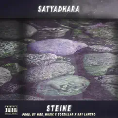 Steine - Single by Satyadhara & wbr_music album reviews, ratings, credits