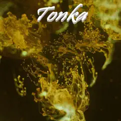 Tonka Song Lyrics