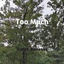 Too Much - Single by Violet Bananas album reviews, ratings, credits