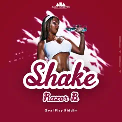 Shake - Single by Razor B & St.Kgn album reviews, ratings, credits