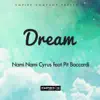 Dream (feat. Pit Baccardi) - Single album lyrics, reviews, download