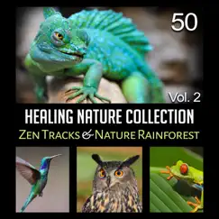 50 Healing Nature Collection Vol. 2: Zen Tracks & Nature Rainforest – Healing Meditation, Serenity, Namaste Yoga, Pure Massage Music by Relaxing Nature Sounds Collection album reviews, ratings, credits