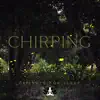 Chirping Crickets for Sleep: Soothing Nature Night Sounds & Calming Cicadas for Insomnia Cure and Calm Mind album lyrics, reviews, download